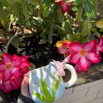 Tulip MUG